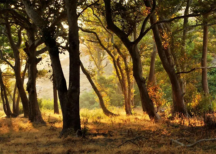 Onar Andros Летний дом