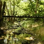 Onar Andros * Achla
