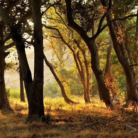 Onar Andros Landhuis