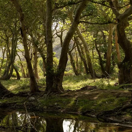 Onar Andros Casa rural *