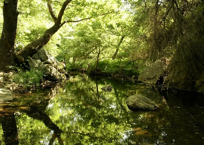 Onar Andros בית כפרי Achla