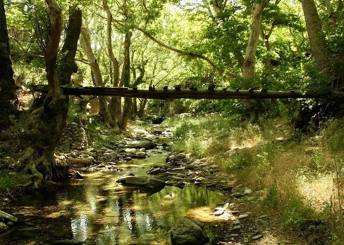 Onar Andros * Άχλα