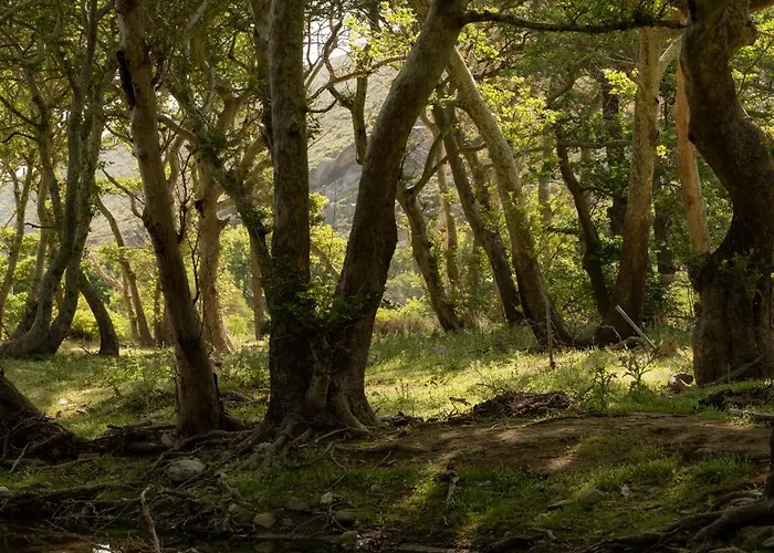 Onar Andros בית כפרי *